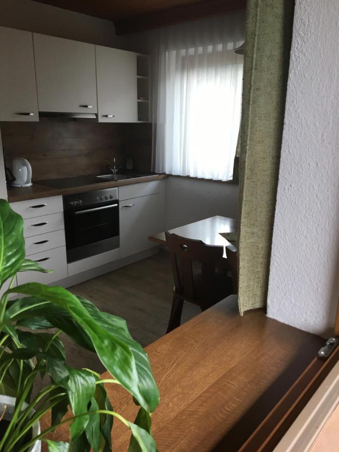 Landhaus Theresia Appartamento Fügen Esterno foto